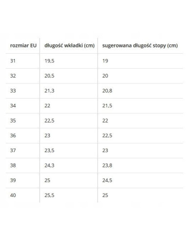 BUTOROLKI BUTY Z ROLKAMI 2 ROLKI NA RZEPY PŁOMIEŃ