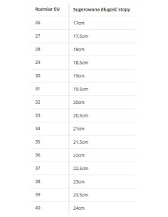 BALETKI DO TAŃCA TRADYCYJNE BALET RYTMIKA KARMEL 2