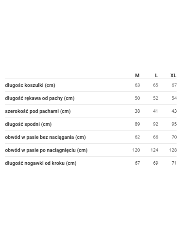 BIELIZNA TERMOAKTYWNA TERMICZNA MĘSKA SZARA