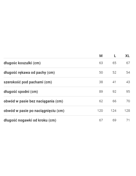 BIELIZNA TERMOAKTYWNA TERMICZNA MĘSKA SZARA
