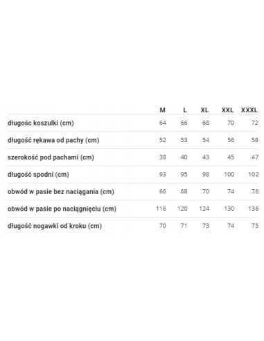 MĘSKA MŁODZIEŻOWA CHŁOPIĘCA BIELIZNA...