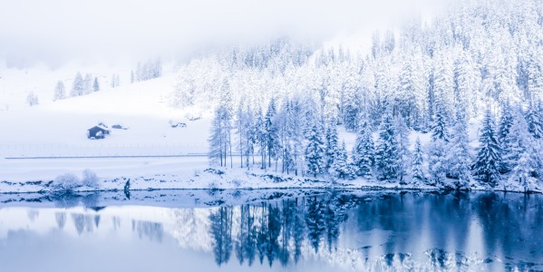 Morsowanie w wielkim stylu